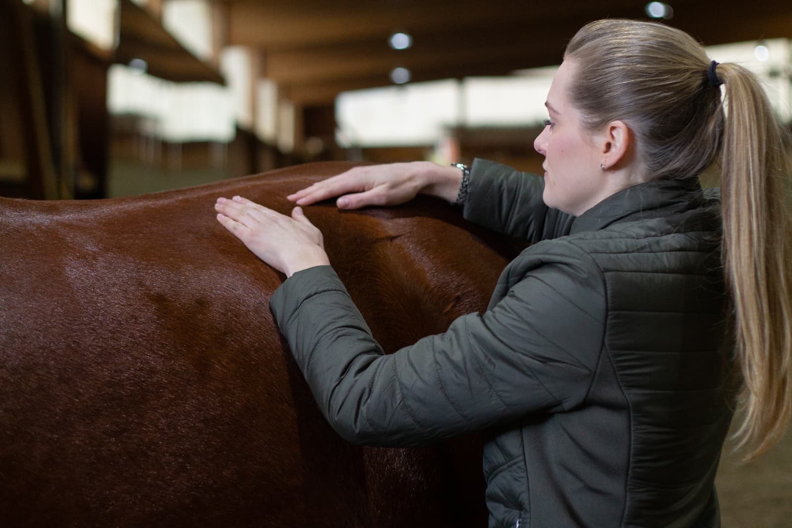 Janice Gramatke bei der tierphysiotherapeutischen Arbeit mit einem Pferd